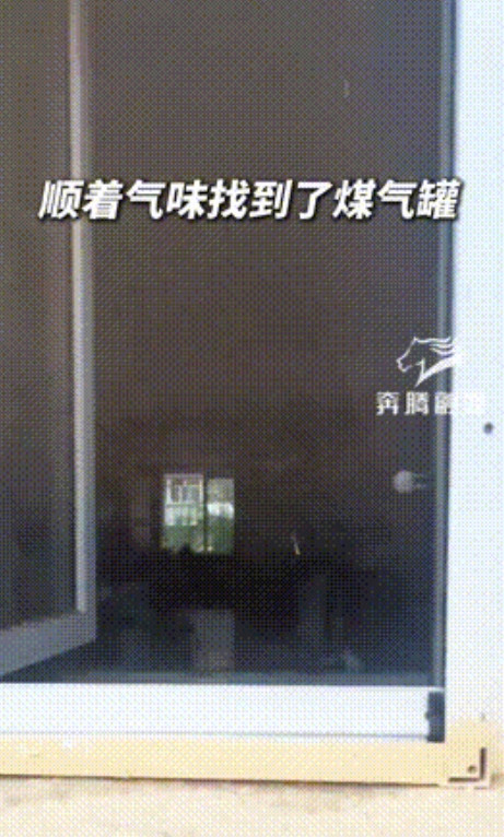 “此娃必成大器！”内蒙古，一14岁男孩在楼下闻见一股怪味，顺着味道找去，竟发现是