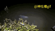 有一说一。晚上钓鱼会容易点？