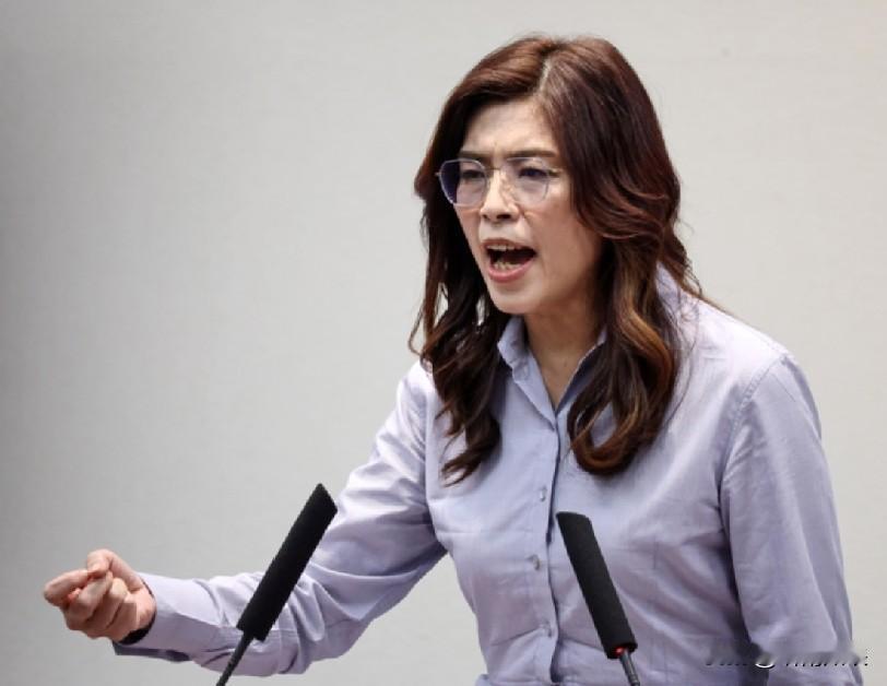何元楷、赖苡任等多名蓝营青年，声援郑丽文！就在今天(9月21日)，蓝营“青年事务