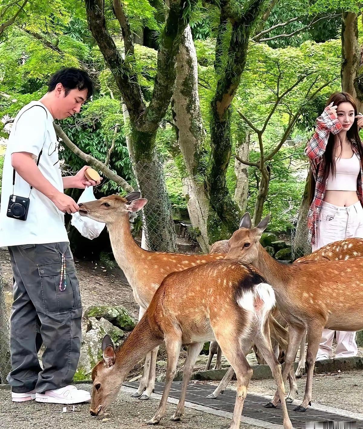 38岁，18任，0张结婚证。东京湾的黎明，他推着婴儿车挑奶粉，顺手给前任划去七