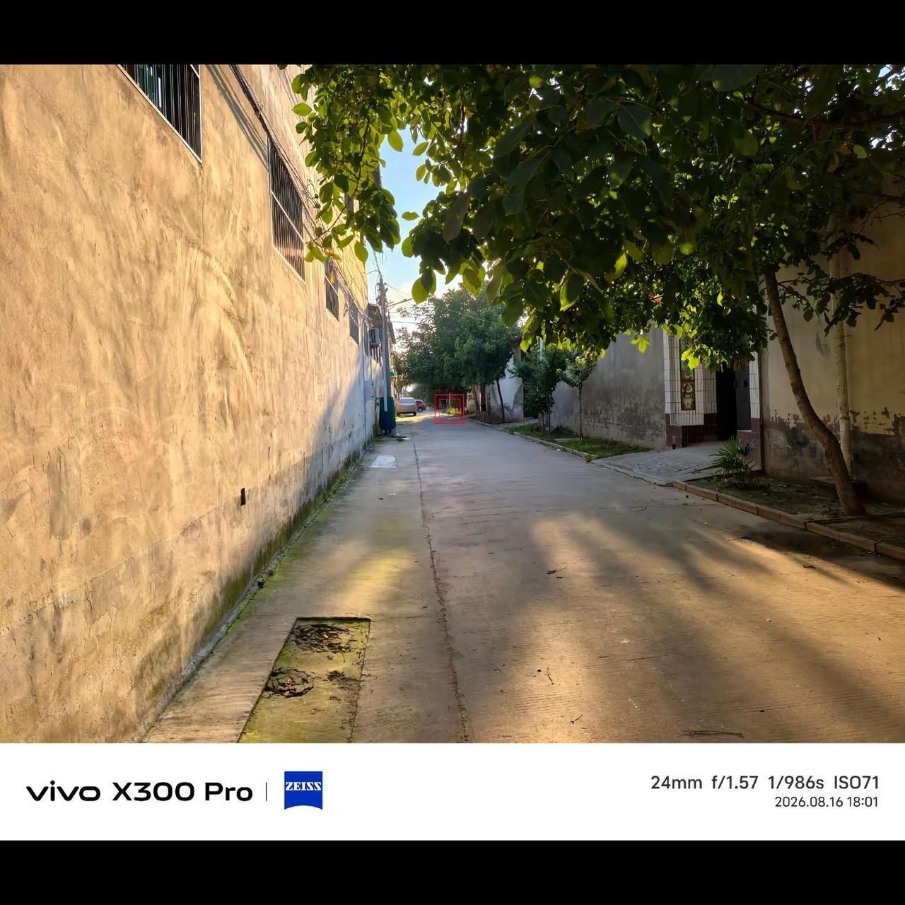 vivoX300P影像现在属于什么级别。蔡司vivo