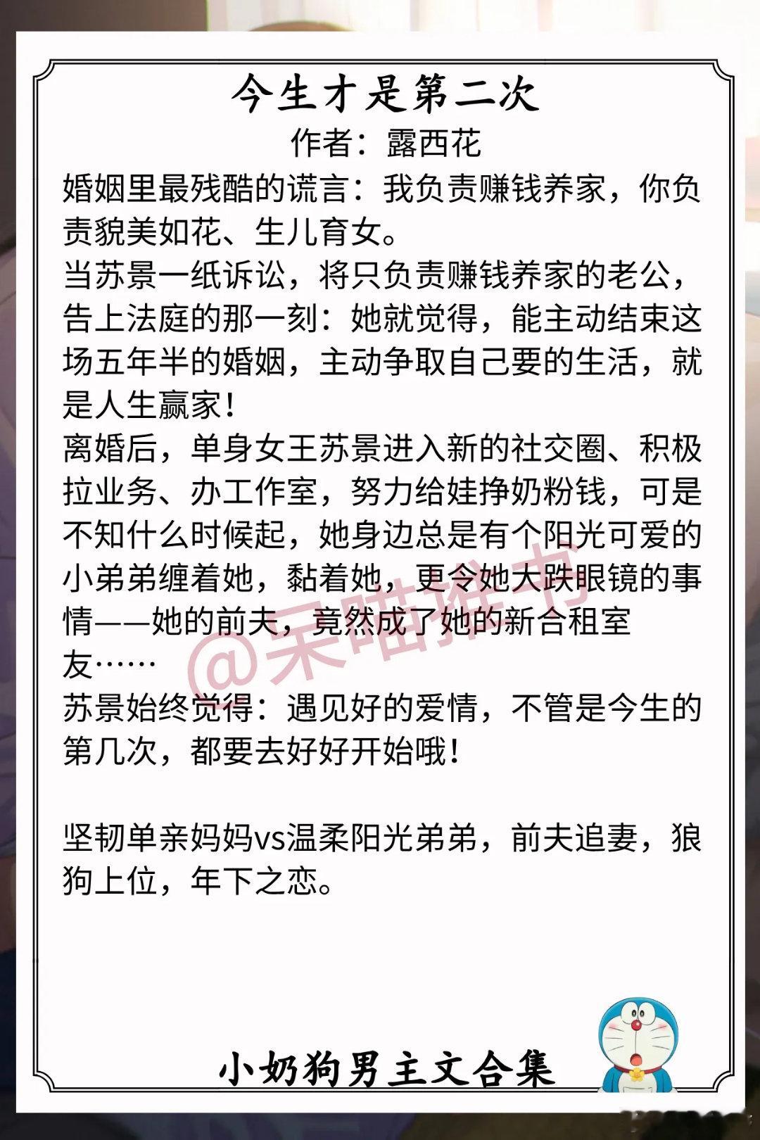 小奶狗男主文合集1.《今生才是第二次》作者：露西花（坚韧单亲妈妈vs温柔阳光弟弟