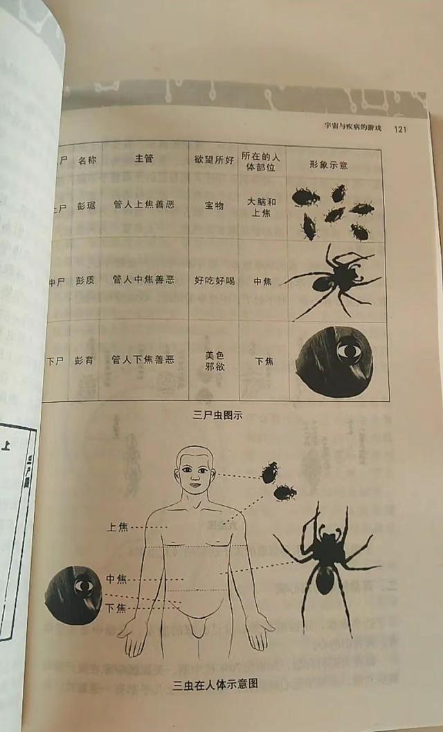 道家斩三尸就是古人说的戒掉内心三个捣蛋鬼。上尸在脑子让你爱慕虚荣，中尸在胸口让你