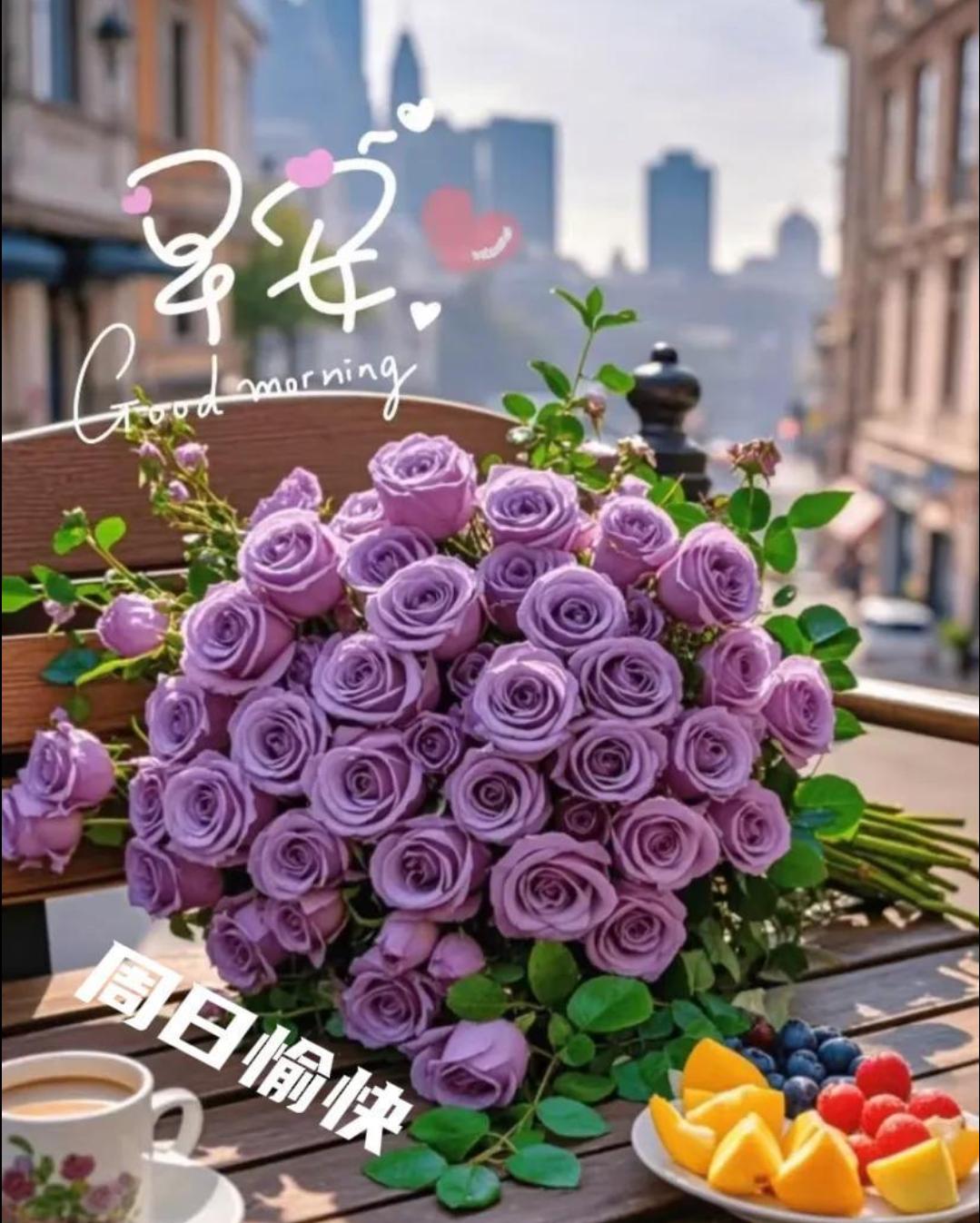 ✨🌈早安，周日！新的一天开始，愿你卸下一周的疲惫与忙碌，放下所有的焦虑和不安，