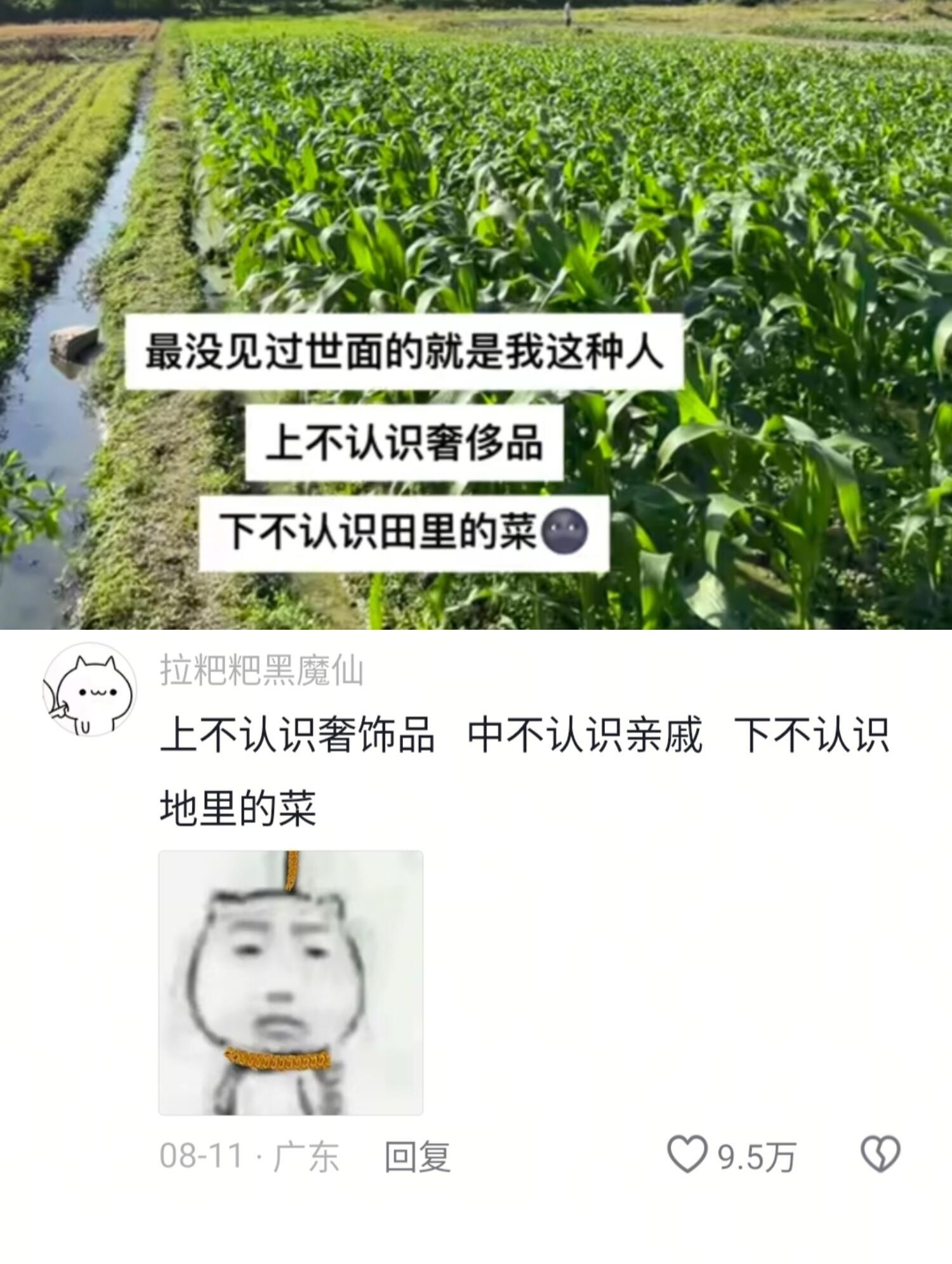 最没见过世面的就是我这种人哈哈哈​​​