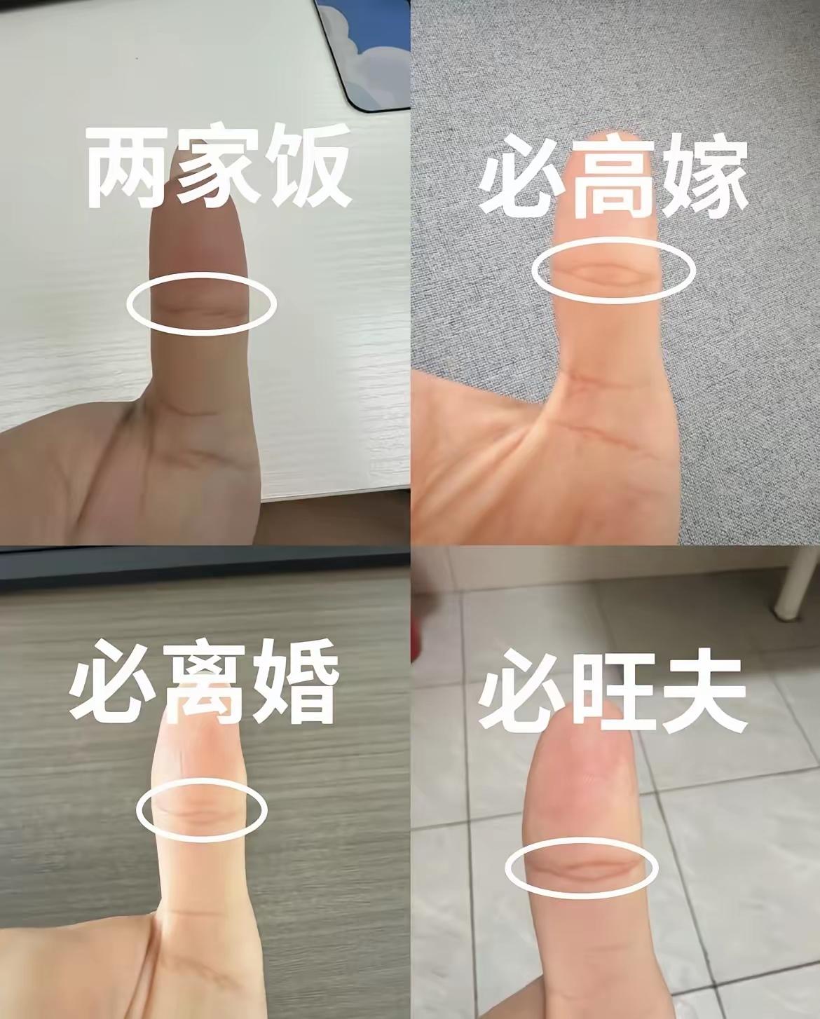 刷到网上各种手相解析图，很多人看得津津有味，我却总觉得不太靠谱。如果单单看手
