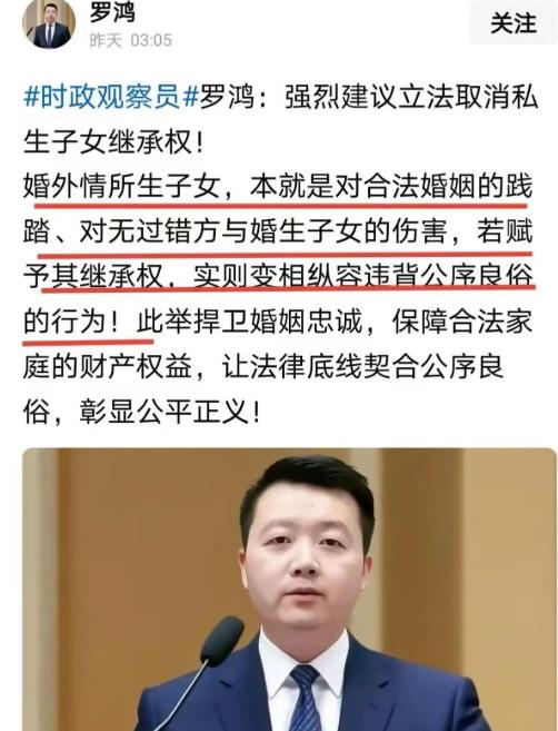 专家罗鸿提了个建议，直接捅了马蜂窝。他原话是这么说的：“强烈建议取消私生子女的继