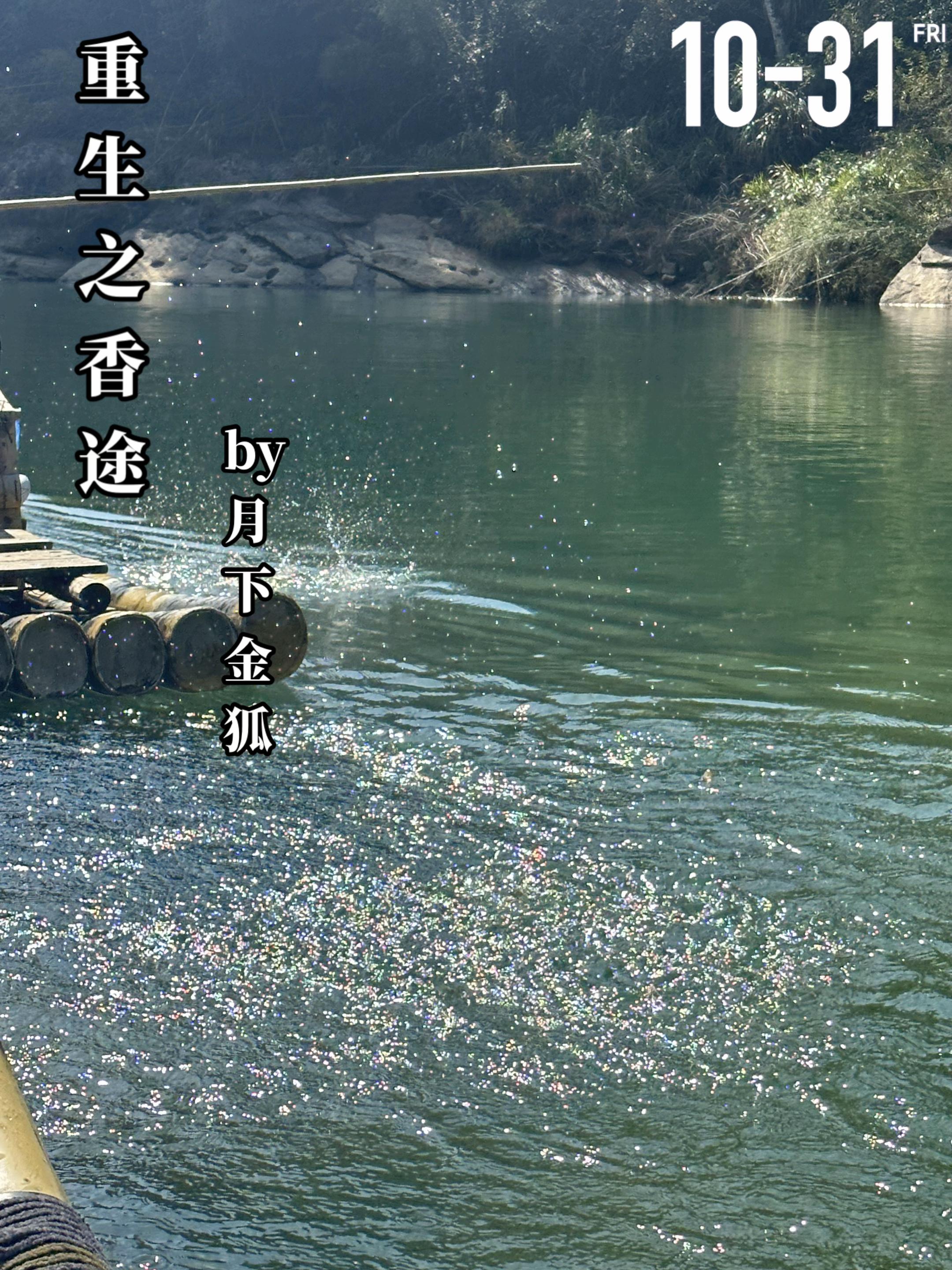 《重生之香途》by月下金狐 上一世的沈荷香(女主)因为贪慕虚荣想过荣华...