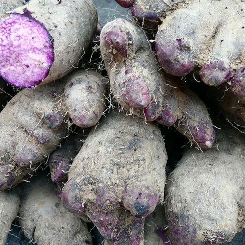 脚板薯，曾经是农民的"充饥粮"，如今亩产值超20000元，为何无人种植？一块