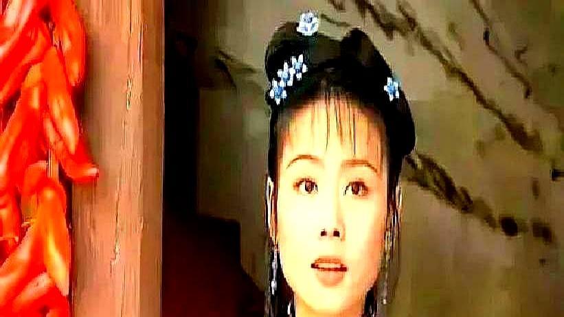 男主一集2000，配角竟有5000？1998年，苏有朋拿着《还珠格格》的合