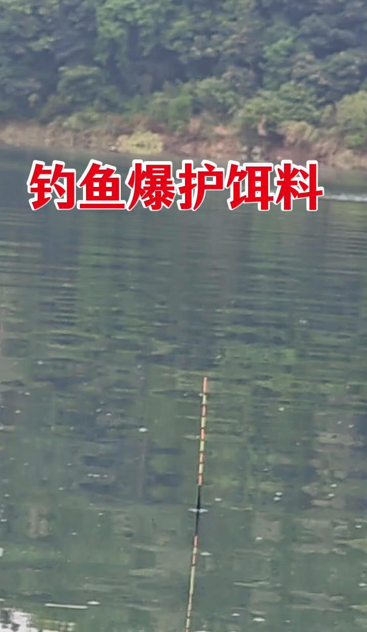 老一辈钓鱼人常说的那句“翘嘴玉米、草鱼香菜、鲤鱼红薯、鲢鱼豆渣、鲫鱼蚯蚓、罗非猪