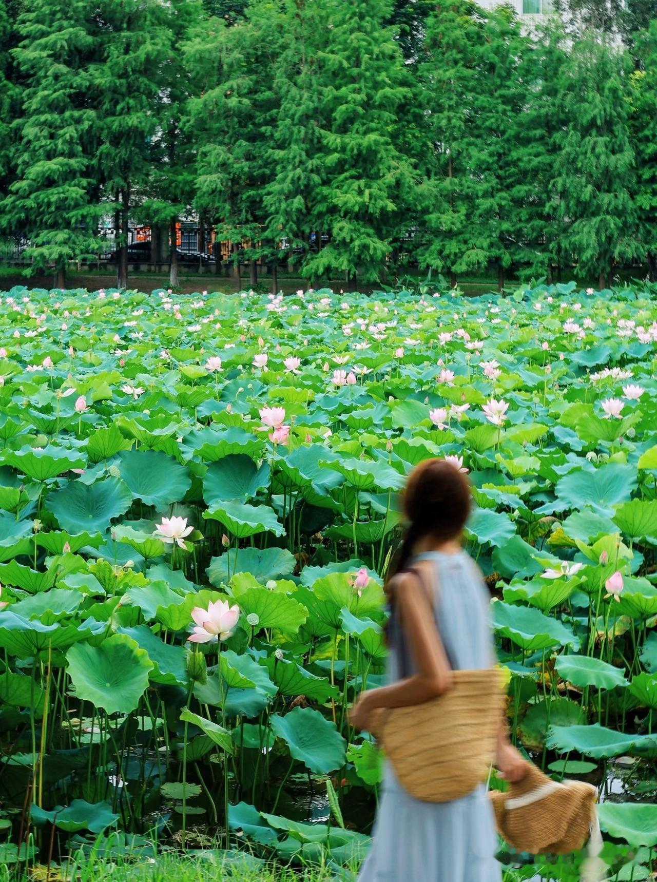 近日，广州某二本大学一位30岁的讲师很是纠结。不知要不要与他研究生女友结婚的