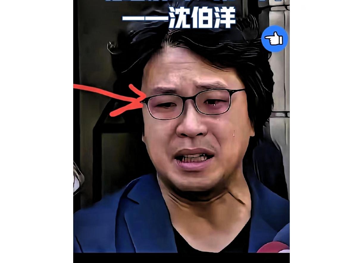 沈伯洋现状：勾结荷兰反华势力后处境窘迫。目前他行踪隐匿，名下资产被警方冻结，信用