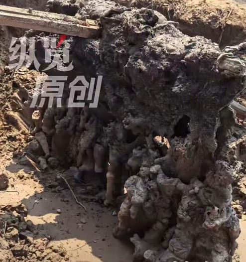 “太邪乎了！”河北衡水，6月12日傍晚一场强雷雨刚过，一村民就发现自家麦田里凭空