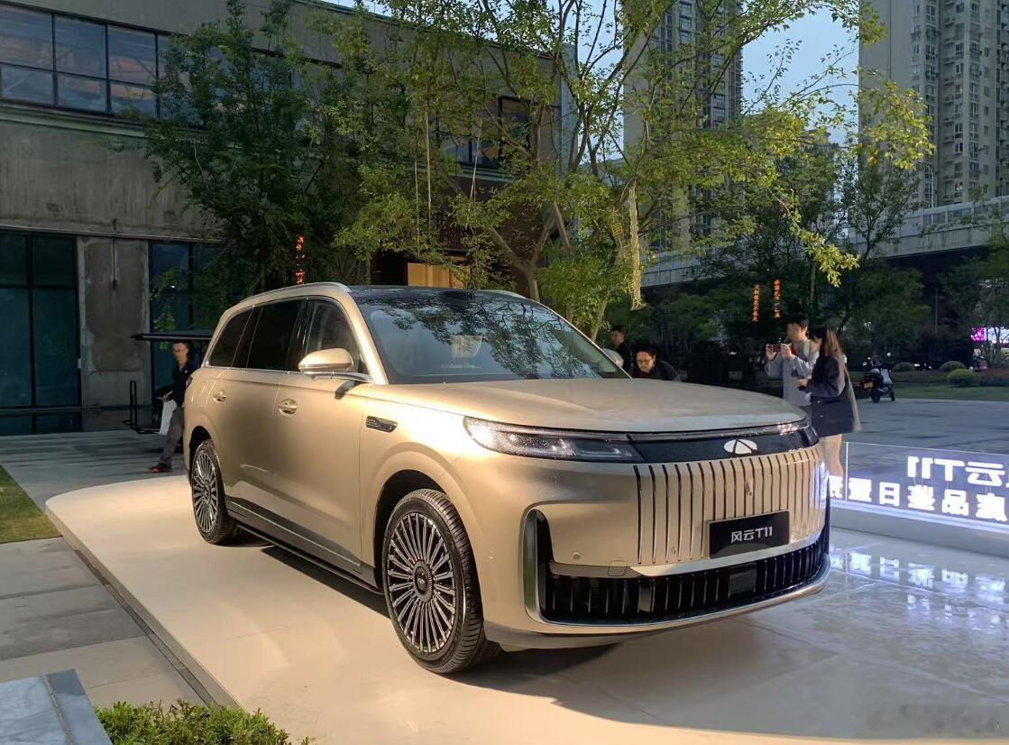 风云T11的价格,应该是最有杀伤力的,20万元级就可以买到大型大六座豪华SUV,