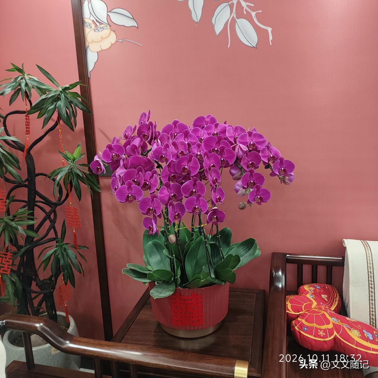 每月一千多元的退休金怎么生活?讲真，一千多块退休金，过得一点不轻松。说实话