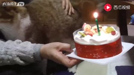 女朋友过生日送什么礼物好便宜的 5594408910776073942.jpg?id=0