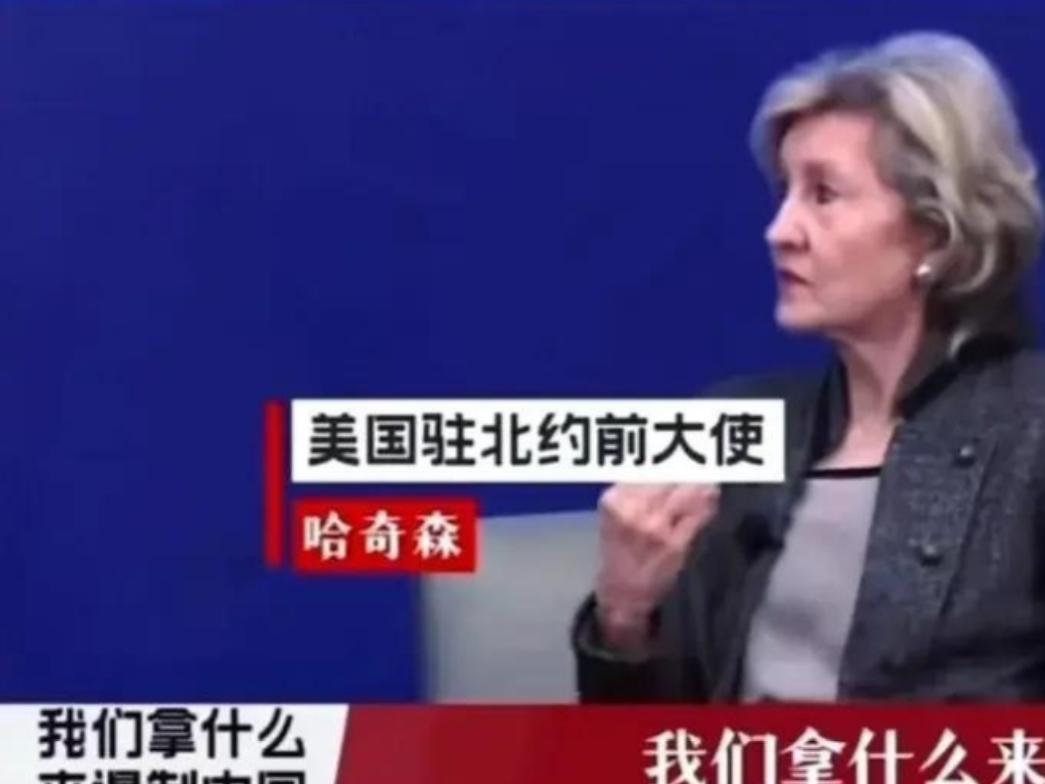 我们对付中国，不是去和它打仗！美国驻北约前大使说：中国有庞大的陆军、海军和空军