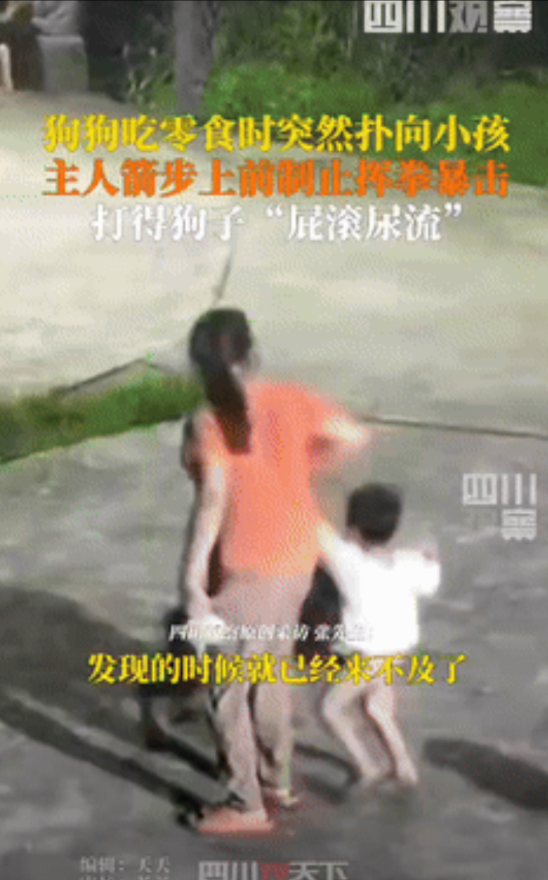 “真解气！”湖南湘潭，男子喂狗时，狗子突然扑向旁边小孩，小孩妈妈急忙拉着孩子躲避