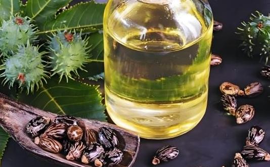 1970年前后，我国累计种植了600万亩蓖麻，蓖麻毒性是砒霜的1.4倍，为什么还