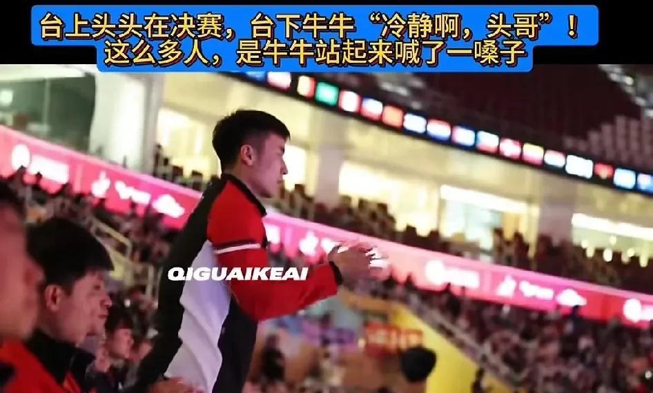牛牛喊王楚钦不是喊“楚钦”，也不是喊“大头”，而是跟我们平时一样，喊的是“头哥”