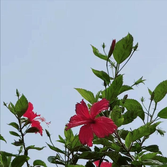 厦门迎来新的主要负责同志 近日，该市迎来新的主要负责同志。 该市是常住人