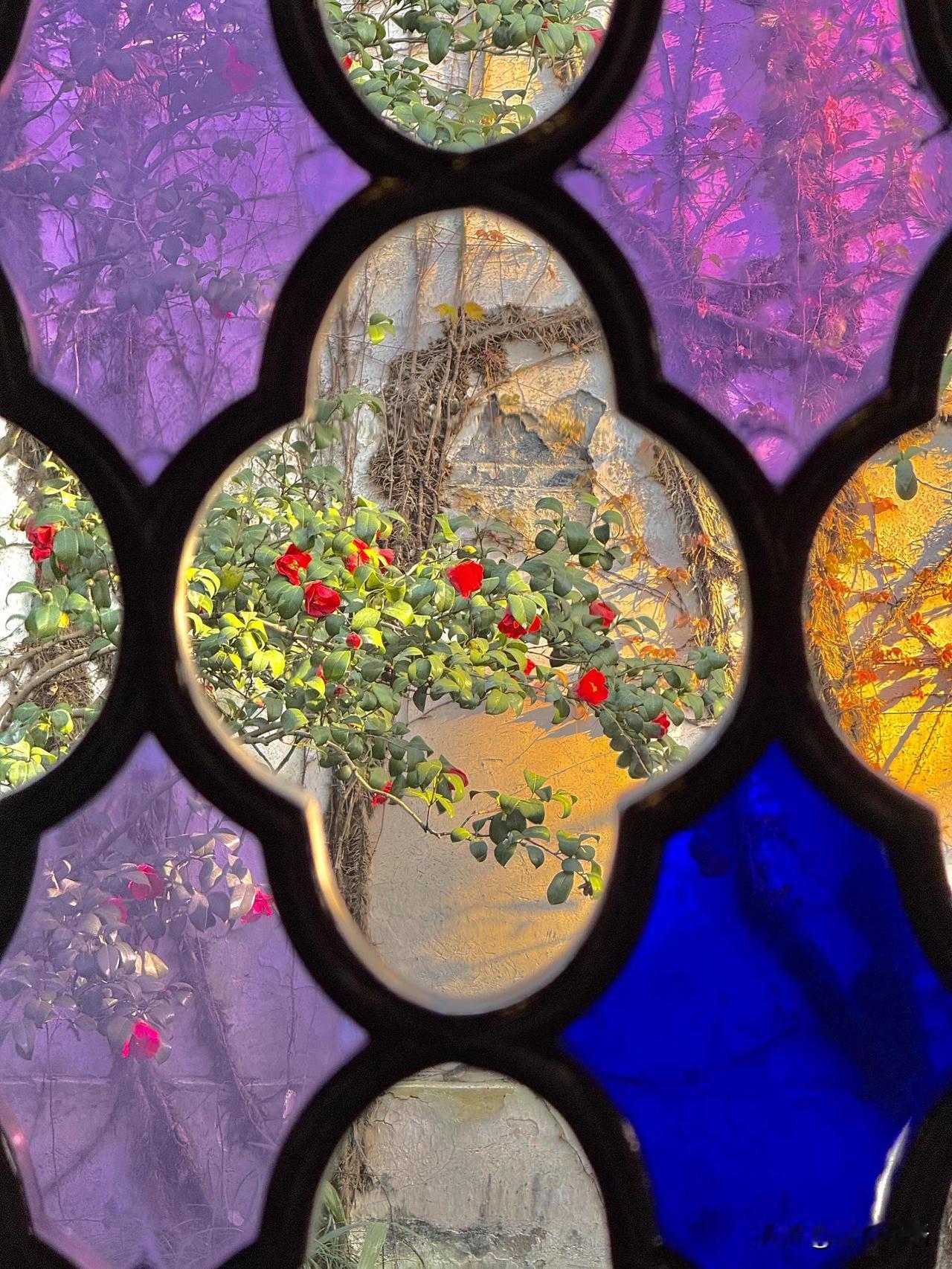 三月的苏州，春和景明平江路的柳条先绿了随风轻摆，拂过青石板路白墙黛瓦映着春