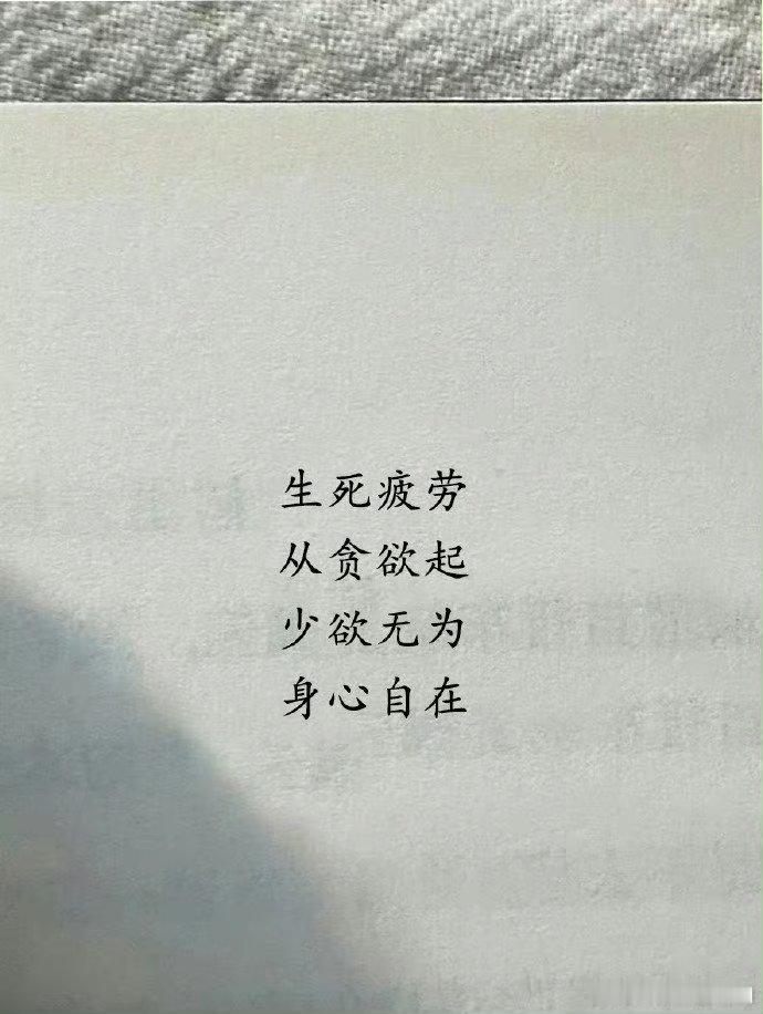我真的会被莫言的文字打动​​​​