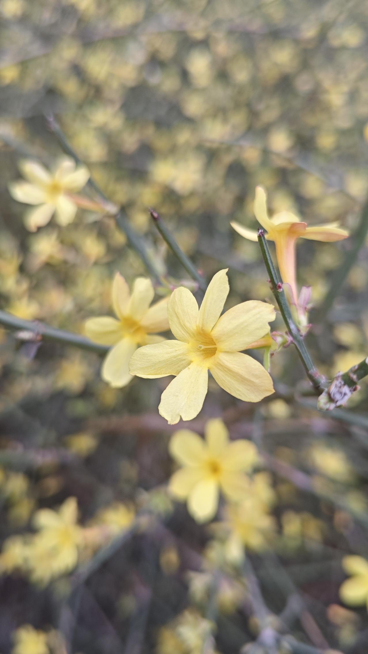 在你眼中,善良是怎样的力量?善良的力量——善良从不是软弱的退让，也不是刻意的讨好