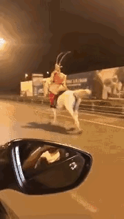 怪不得唐僧取经要那么久，原来白龙马被猴拐跑了。