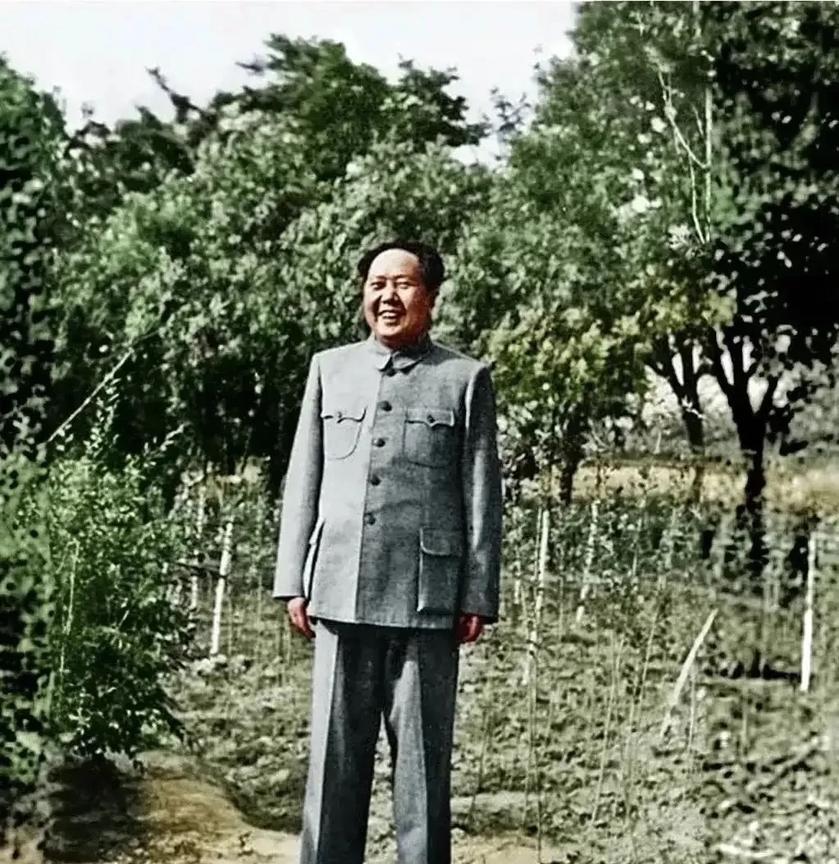 我非常喜欢主席的这张照片，他老人家笑的阳光灿烂、朴实无华。照片拍摄于1951年