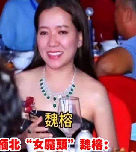 很多人都在问：明珍珍、白应苍那帮人都伏法了，为什么偏偏魏榕能跑掉？难道真是因为她