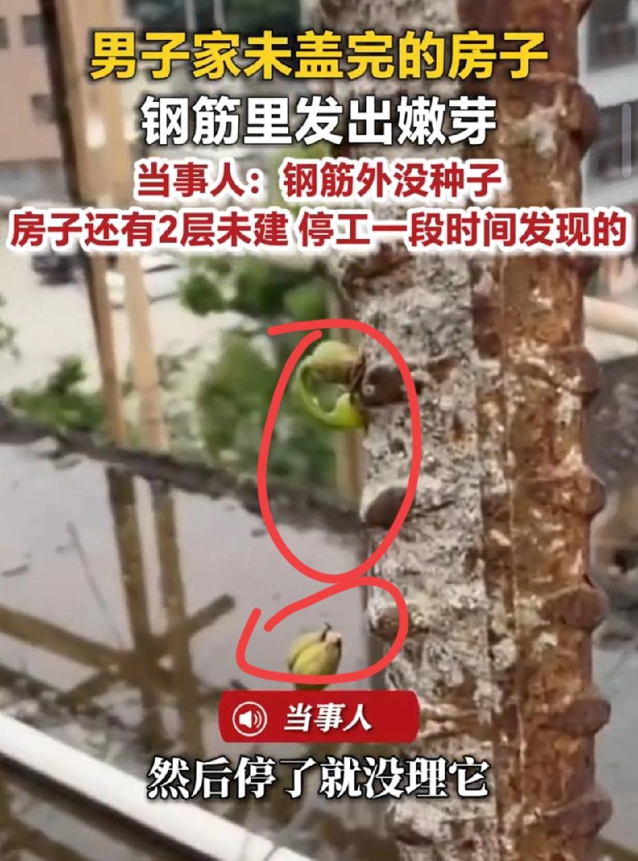 “解释不清了！”广东揭阳，男子家自建6层房子，有两层未建。突然，他上楼顶发现裸露