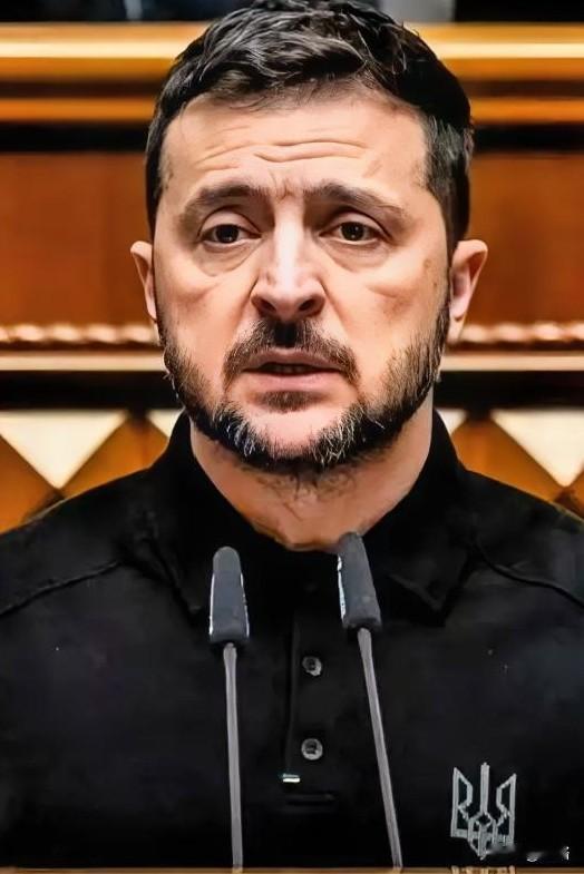 12月14日，财联社电，乌克兰总统泽连斯基确认，将赴柏林与美欧代表会晤，核心议题