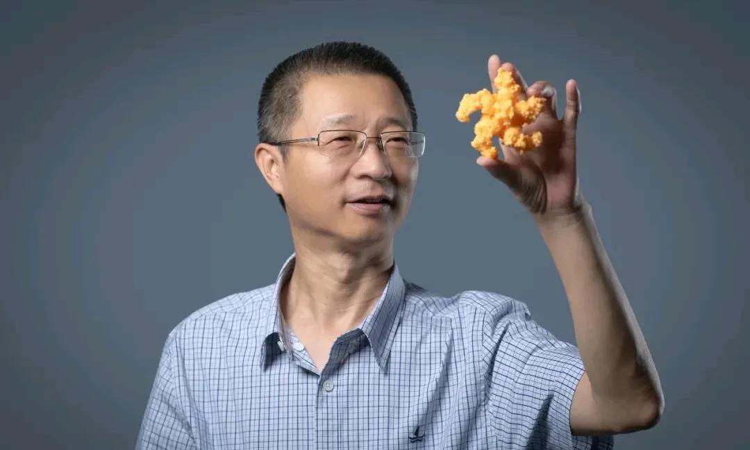 颜宁和柴继杰真的是施一公门下师兄妹吗？颜宁提名柴继杰违规吗？颜宁提名柴继杰作为