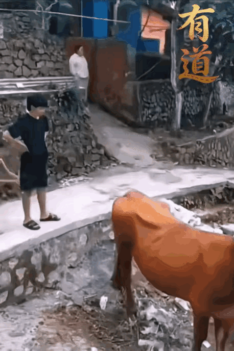 这下该如何解释啊[捂脸哭]