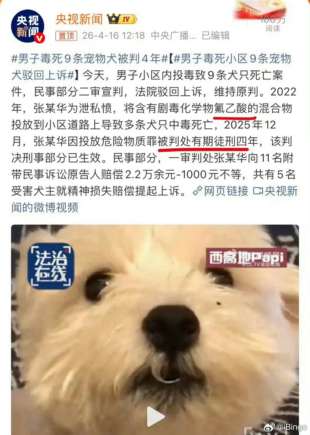 主人解开狗绳2只狗将路人撕咬致死难绷！前边因为狗扰民毒死狗，判有期徒刑四年。这边