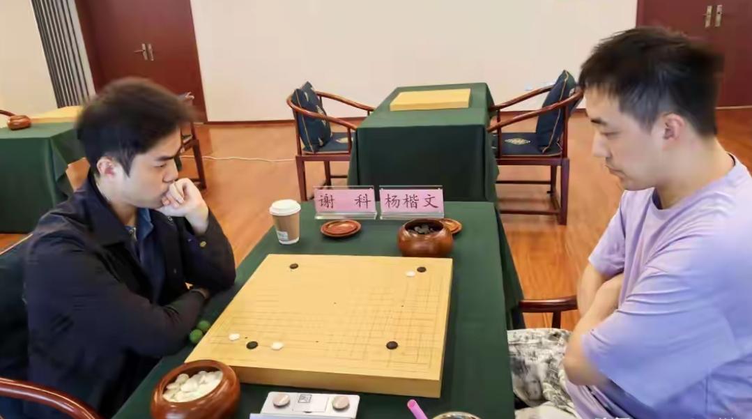 报仇雪恨~农心杯中国选拔赛开始2026年第28届农心辛拉面杯世界围棋团体锦标