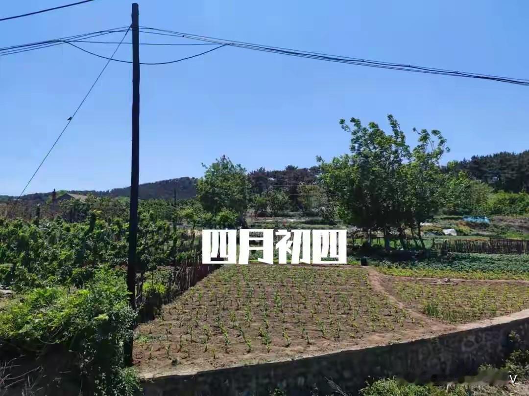 不是迷信！明日四月初四，记得：1不扔，2不说，3不吃，别大意！明天是农历四