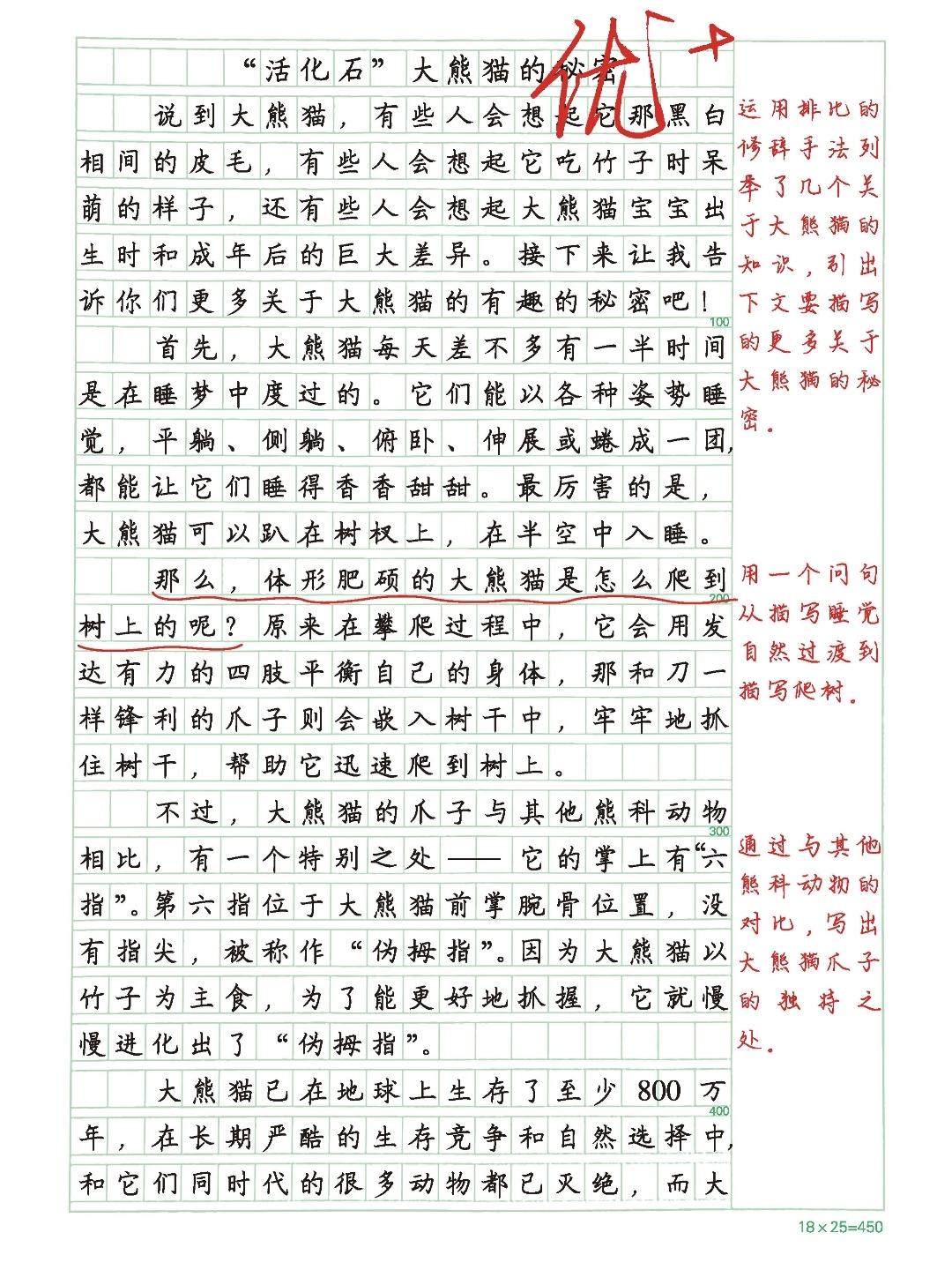 三年级下册语文，第七单元习作《国宝大熊猫》精选范文3篇，收藏参考学习三年级语文