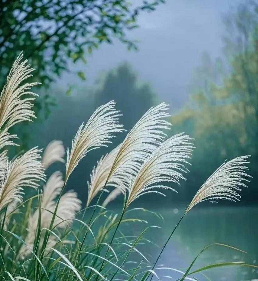 想不通时，就读读这段话：“尽力之后，就选择随缘吧!我们的手就那么大，握不住的东西