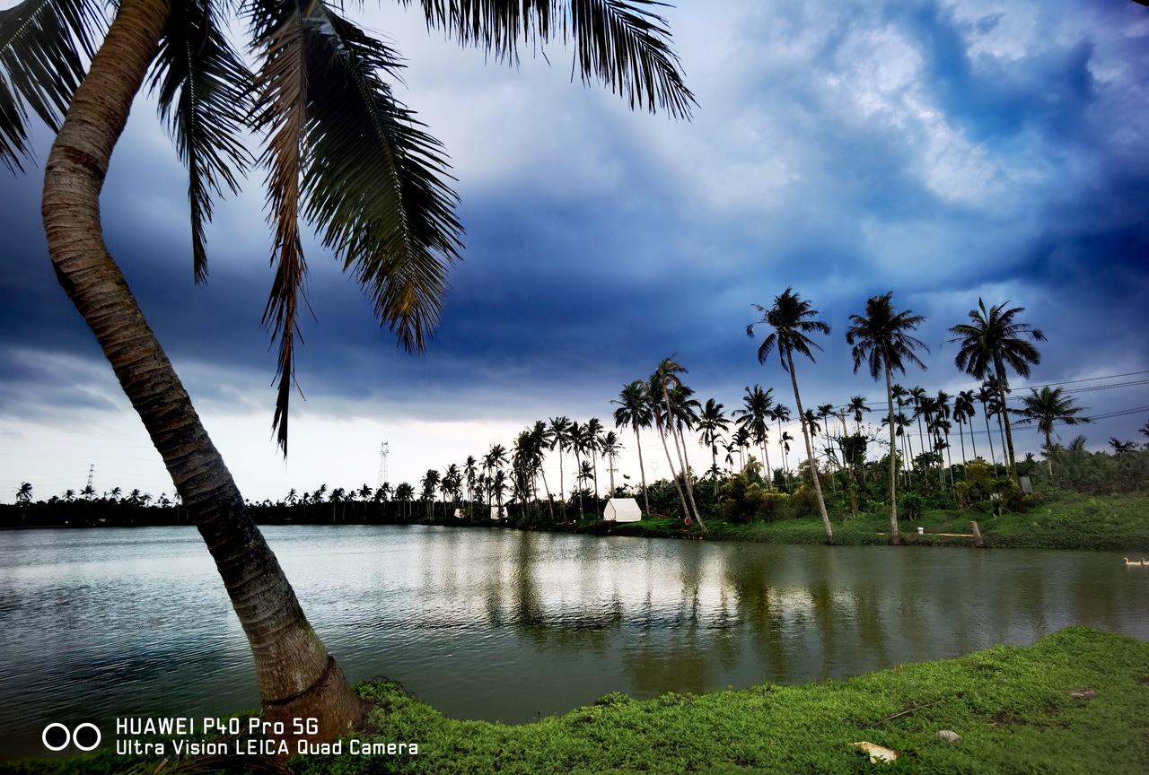听在海南澄迈老城镇住过的朋友，讲了几个海南人“生活方式”的例子。没有黑的意思，只