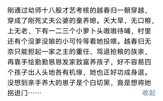 《长嫂当家》小说