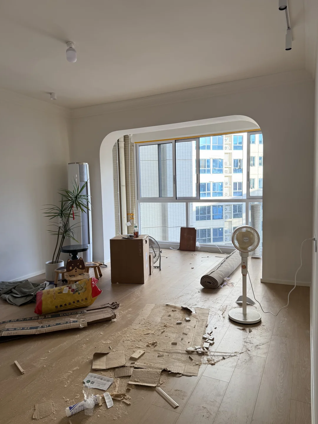 好幸运，和小猫小狗住进自己改造的房子里🏠