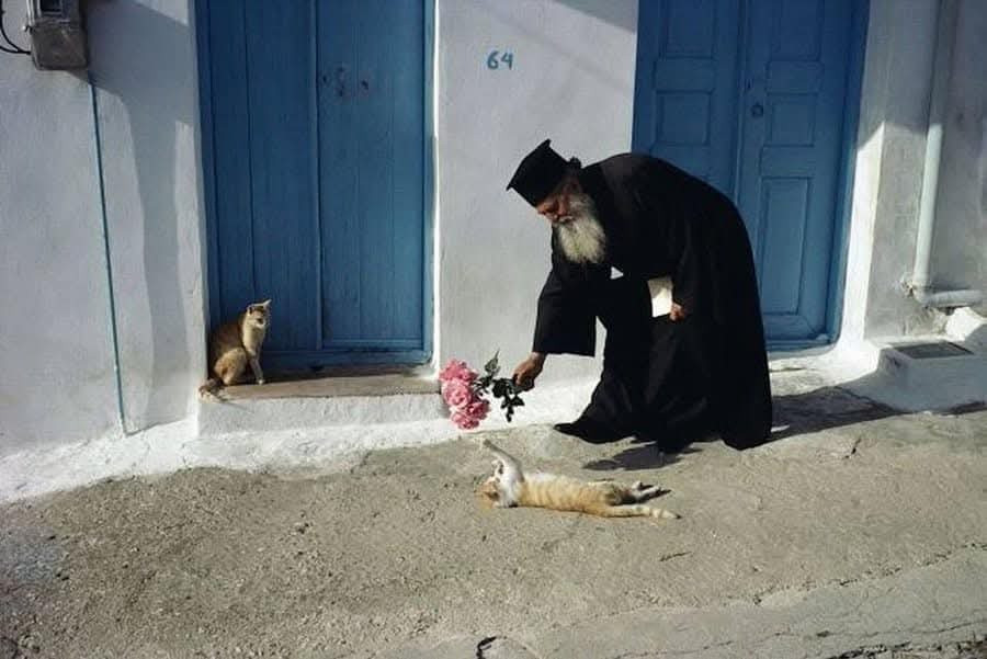 90年代，希腊圣托里尼岛，一位东正教牧师拿着一束花和猫咪玩耍摄影师HansSi