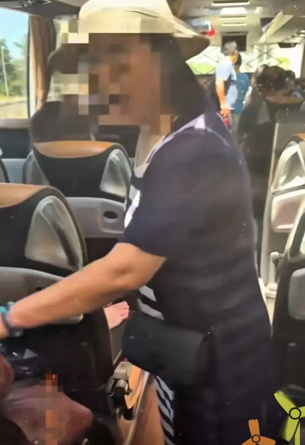 洗劫一空！中国旅行团去意大利旅游，下车吃饭行李，被一窝端！一群大爷大妈组团