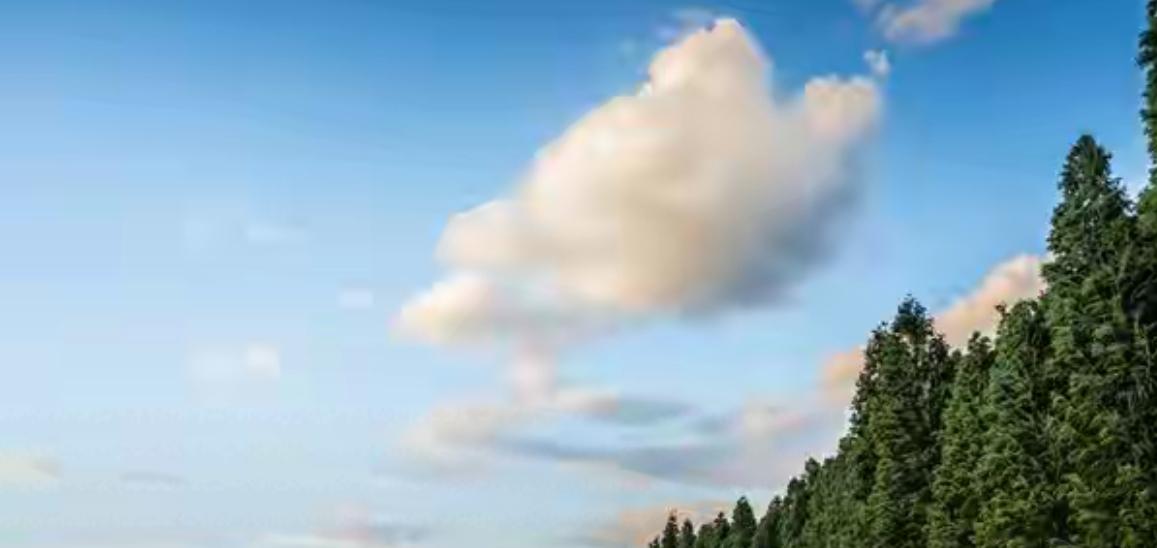 工资不高，还不敢辞职？太憋屈了！工资太低时，必须做这三件事。第一，别只会埋头