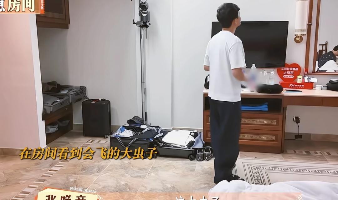 张晚意看到屋里有会飞的虫子，担心晚上睡觉会害怕，张晚意：“这大虫子，能打着吗”，