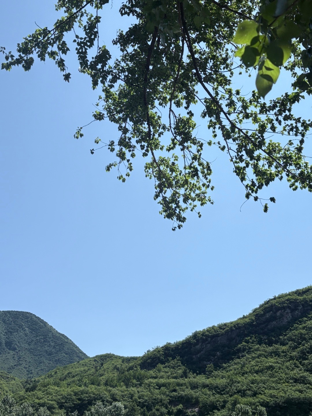 春和景明​​​