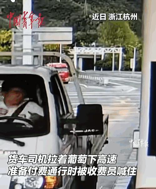 “太暖心了！”浙江杭州，货车司机拉了一车葡萄进收费站，可是收费员却盯着他的葡萄看